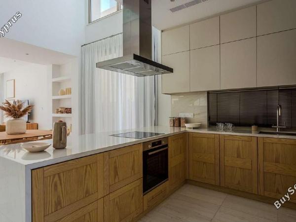 5 bedroom detached house for sale kissonerga paphos 8758370 image 16517193