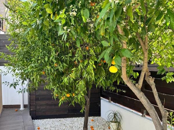 5 bedroom detached house for sale pyrgos limassol limassol 1678370 image 16283602