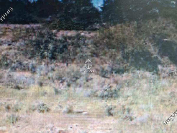 plot for sale germasogeia limassol 979370 image 6236570