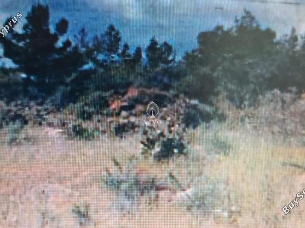 plot for sale germasogeia limassol 979370 image 6236573