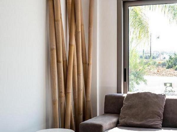 4 bedroom detached house for sale argaka paphos 1898470 image 14216617