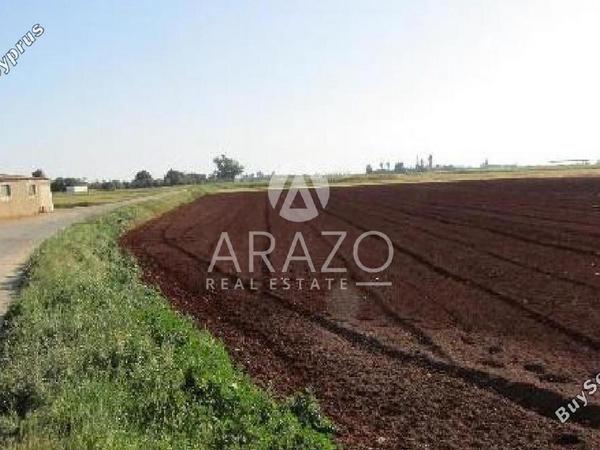 land for sale avgorou famagusta 8833470 image 17004170