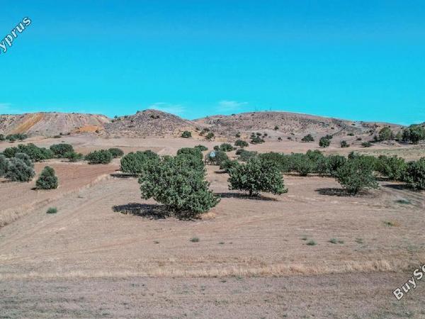 land for sale troulloi larnaca 1536470 image 5654704