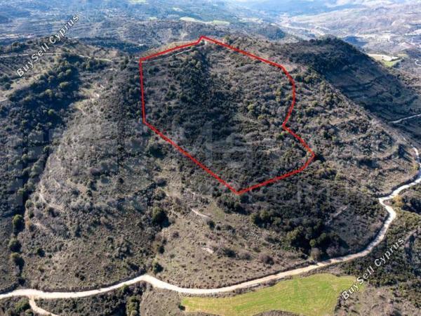 plot for sale dora limassol 7871470 image 11381387