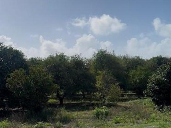 land for sale asomatos lemesou limassol 1850570 image 13850391