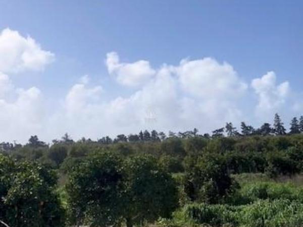 land for sale asomatos lemesou limassol 1850570 image 13850393