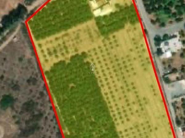 land for sale asomatos lemesou limassol 1850570 image 13850394