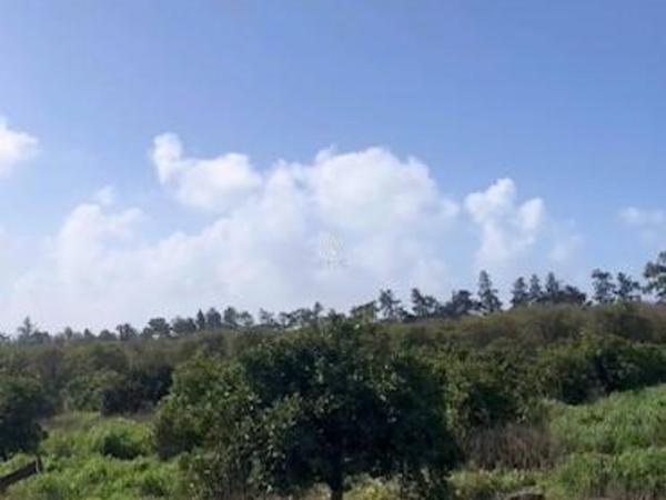 land for sale asomatos lemesou limassol 1850570 image 13850396