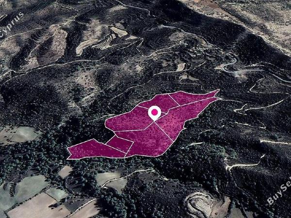 land for sale mousere paphos 1897570 image 14206423