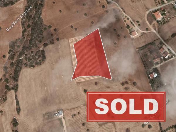 land sold agios theodoros larnacas larnaca 923570 image 1946362