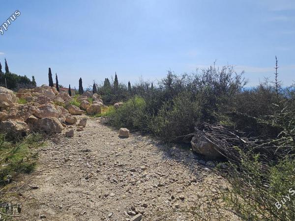 plot for sale tsada paphos 8317570 image 14196385