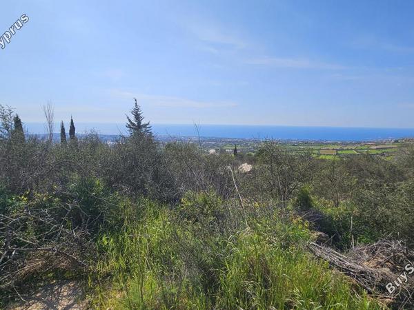 plot for sale tsada paphos 8317570 image 16980746