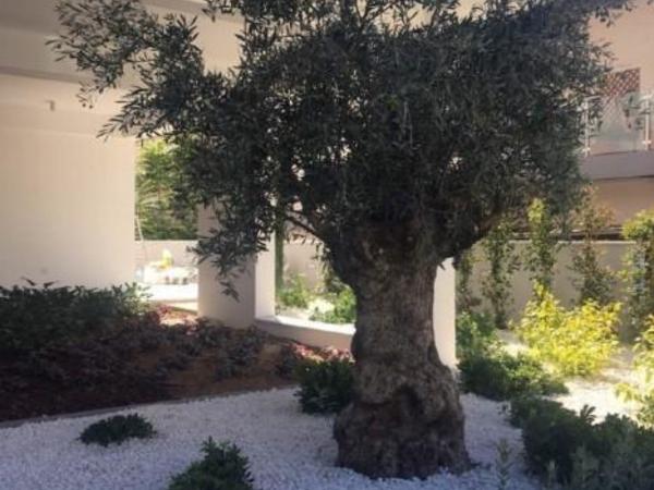 2 bedroom apartment for sale katholiki limassol 7739670 image 12170116