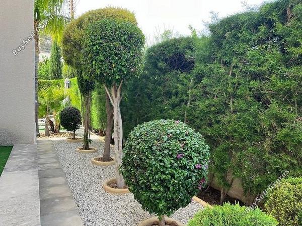 3 bedroom detached house for sale peyia paphos 7734670 image 16025181