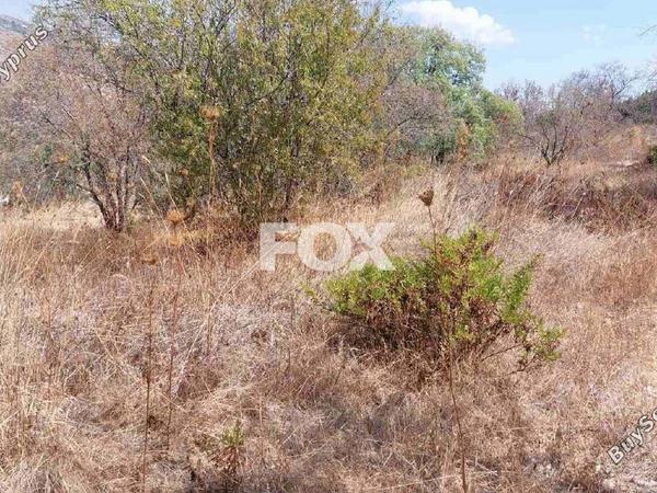 land for sale agia marina kelokedaron paphos 1554670 image 7637228