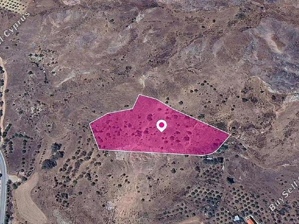 land for sale choletria paphos 1897670 image 14207289