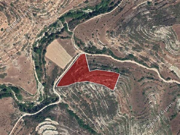 land for sale pachna limassol 8785670 image 16656209