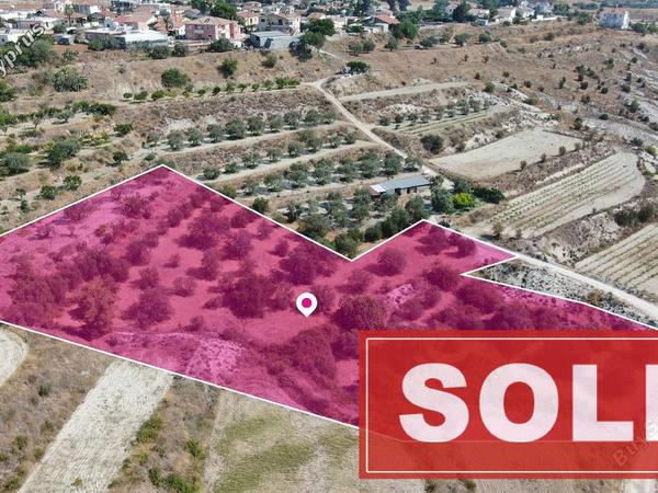 land sold kampia nicosia 1511670 image 3695435