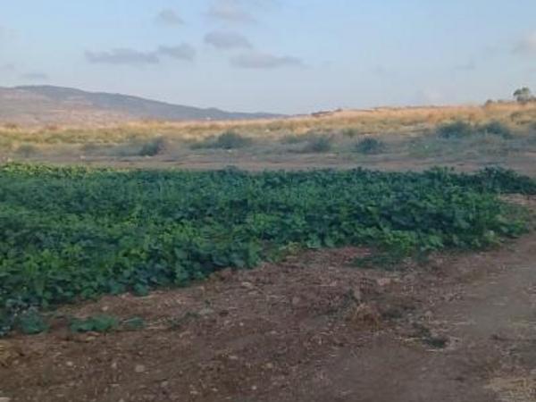 land for sale poli chrysochous paphos 8529770 image 15457206