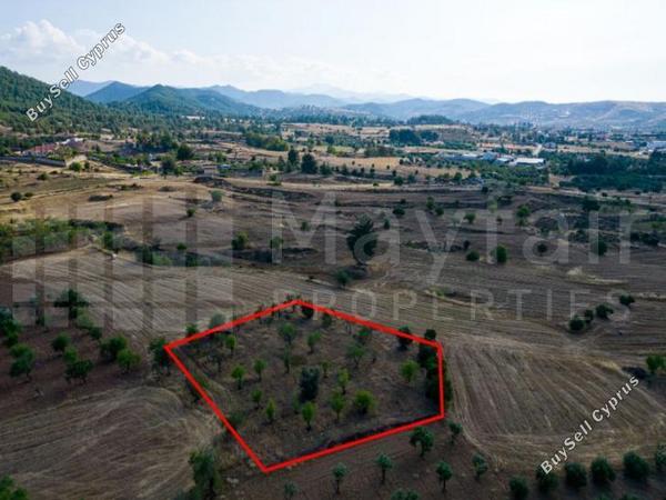 plot for sale klirou nicosia 7871770 image 15884920