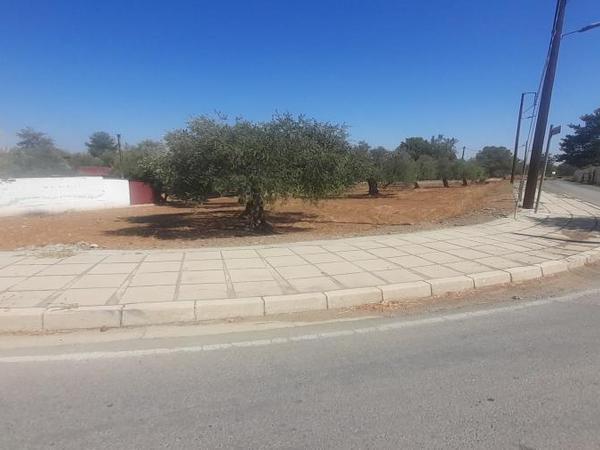 plot for sale lythrodontas nicosia 1668770 image 16176155