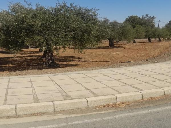 plot for sale lythrodontas nicosia 1668770 image 16176156