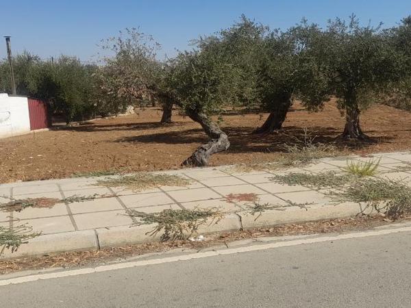plot for sale lythrodontas nicosia 1668770 image 16176157