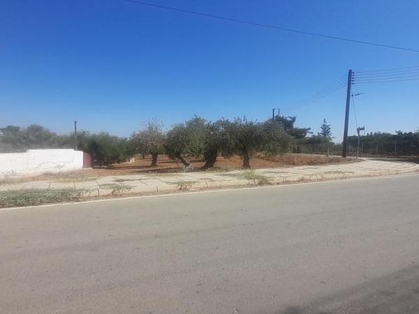 plot for sale lythrodontas nicosia 1668770 image 16176158