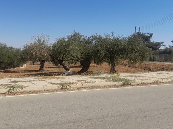 plot for sale lythrodontas nicosia 1668770 image 16176160
