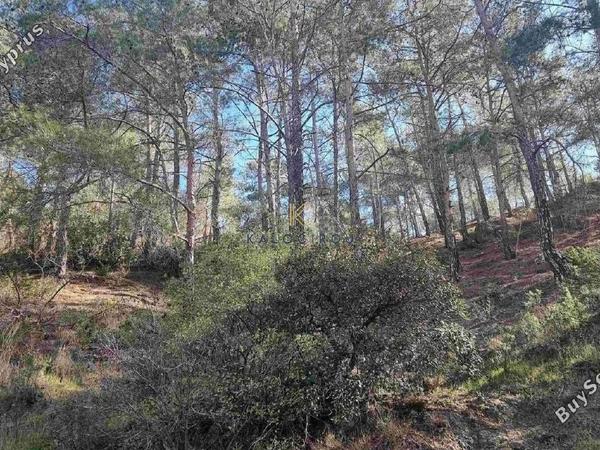 land for sale moniatis limassol 1753870 image 5727414