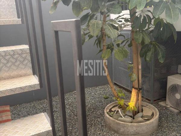 studio apartment for rent agios andreas nicosia nicosia 8238870 image 16340215
