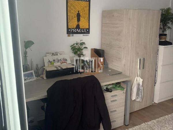 studio apartment for rent agios andreas nicosia nicosia 8238870 image 16340224