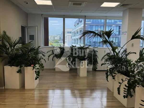 studio office for rent linopetra limassol 8447870 image 16052231