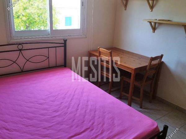 2 bedroom apartment for rent makedonitissa nicosia 1336970 image 15587361