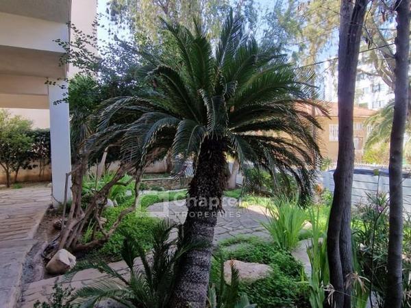 5 bedroom detached house for sale agios andreas nicosia nicosia 8345970 image 16000645