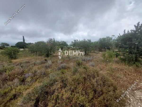 land for sale armou paphos 7812970 image 12701635