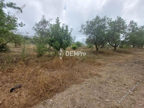 land for sale armou paphos 7812970 image 12701637