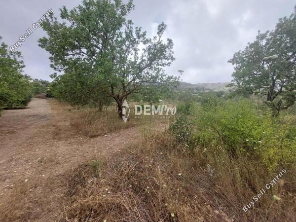land for sale armou paphos 7812970 image 12701641