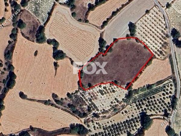 land for sale lemona paphos 1307970 image 10089535