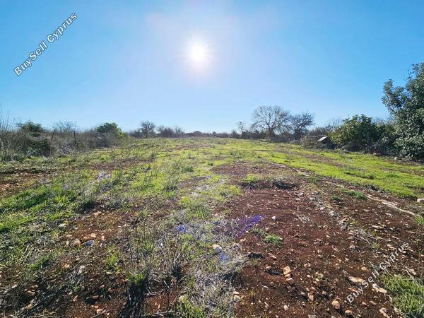 2 bedroom semi detached bungalow for sale ineia paphos 1611080 image 4070845