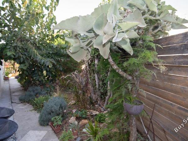 3 bedroom bungalow for sale meneou larnaca 7638080 image 14910752