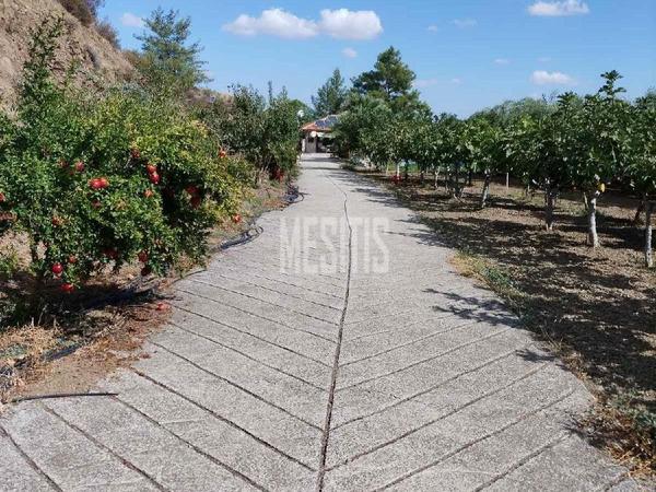 3 bedroom detached house for sale klirou nicosia 1573080 image 10511460