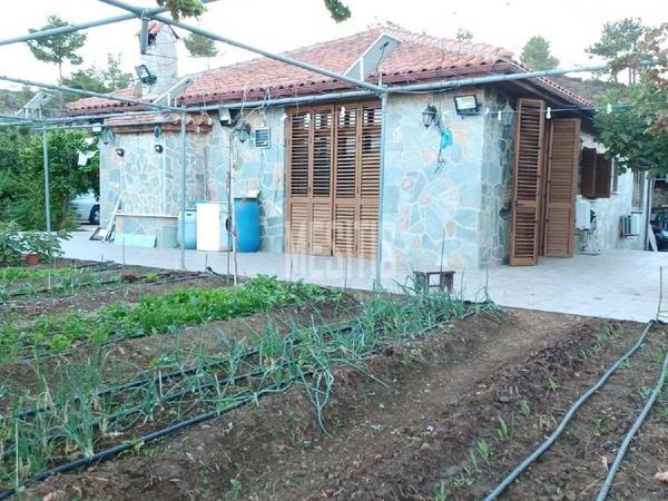 3 bedroom detached house for sale klirou nicosia 1573080 image 10511462