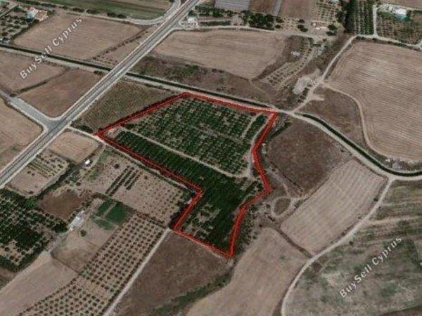 land for sale koloni paphos 1681080 image 9623923