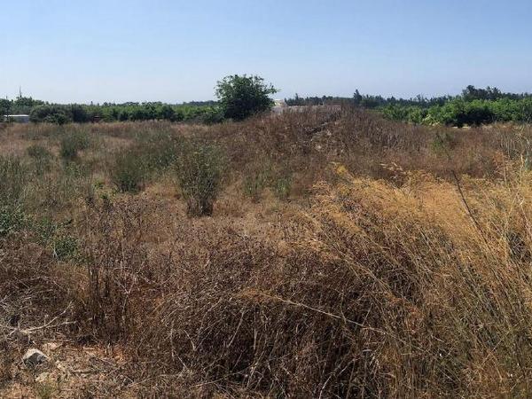 plot for sale geroskipou paphos 8920180 image 17549806
