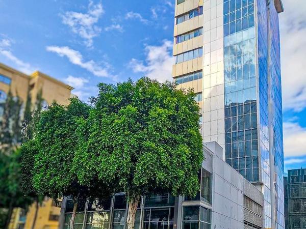 studio office for sale nicosia municipality nicosia 7568180 image 15476425