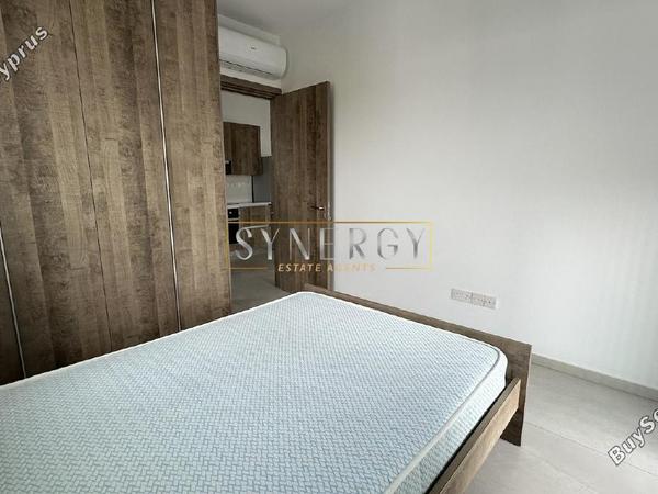 1 bedroom apartment for rent aglantzia nicosia 8665280 image 16339853
