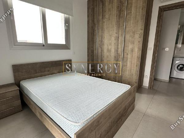 1 bedroom apartment for rent aglantzia nicosia 8665280 image 16339854