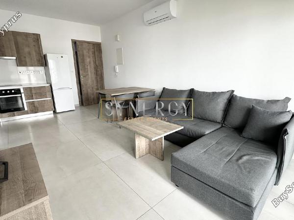 1 bedroom apartment for rent aglantzia nicosia 8665280 image 16339861