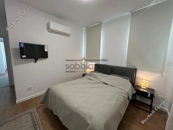 2 bedroom apartment for rent aradippou larnaca 8740280 image 16380124
